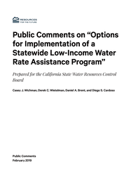 public comments wichman Cover.png