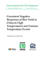 EfD%20DP%2017-07%20Cover.png