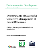 EfD%20DP%2017-11%20Cover.png