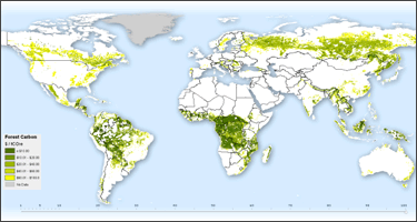 The Geography of Forests in Climate Solutions: Introducing the Forest ...