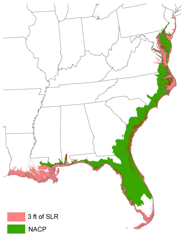 Figure 1a.jpg