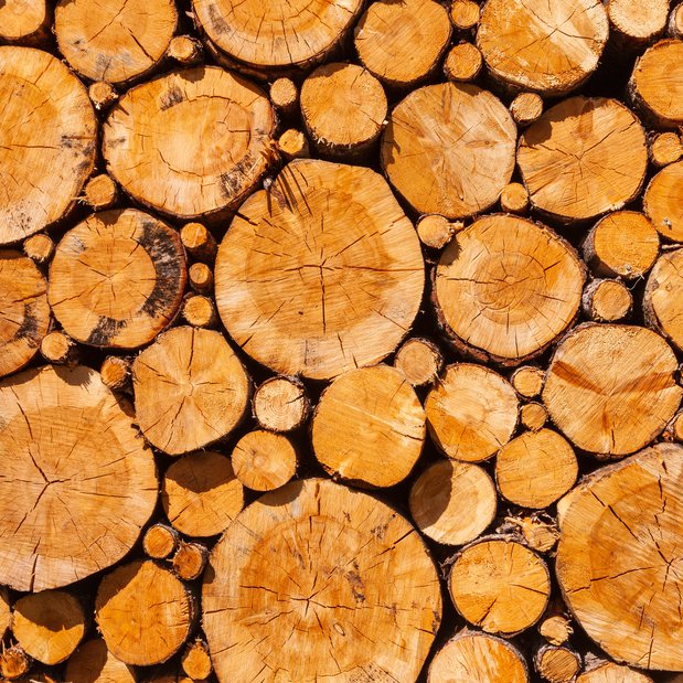Timber