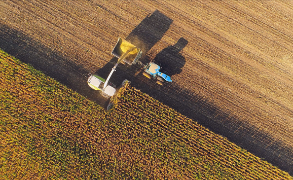 Arial photo of corn farm, with a tractor harvesting corn.