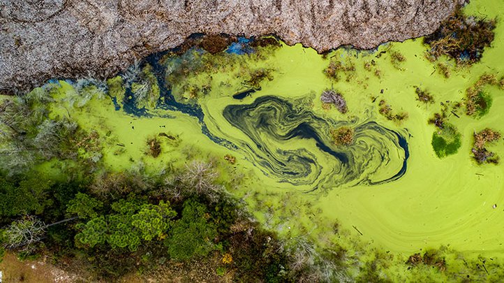 Runoff from a landfill site in Georgia