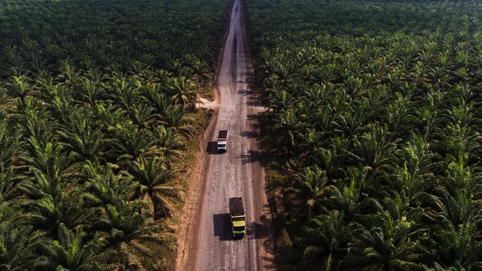Biodiesel