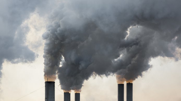 carbon taxes