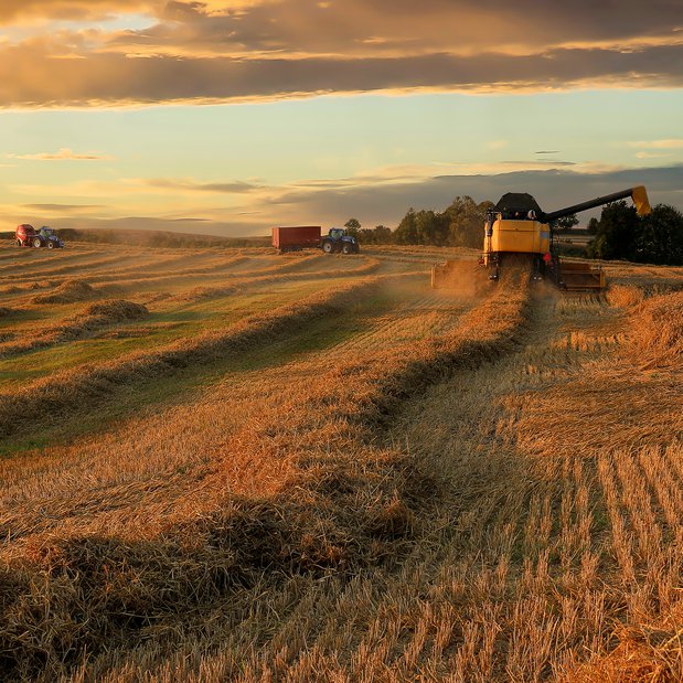 Agriculture