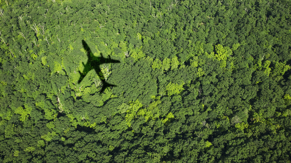 Even with Moves toward Transparency, Corporate Climate Pledges and Carbon Offsets Will Be Complicated - Vimarsana News