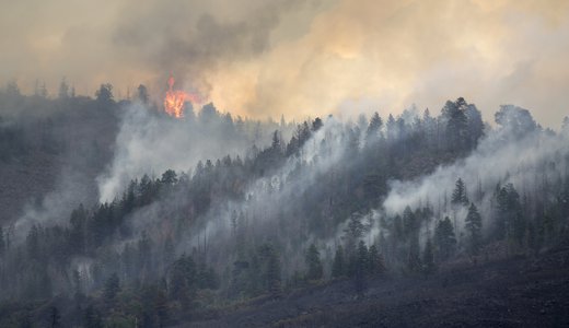 GettyImages-995109486.jpg