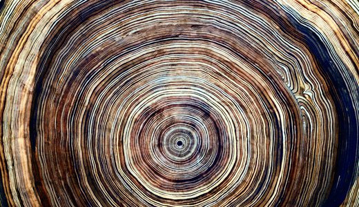 Resources Radio-Carbon Removal.jpg