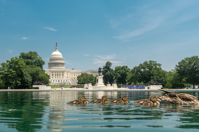 Issue 219 - Federal Climate Policy (16x9) - Getty Images 2228409117