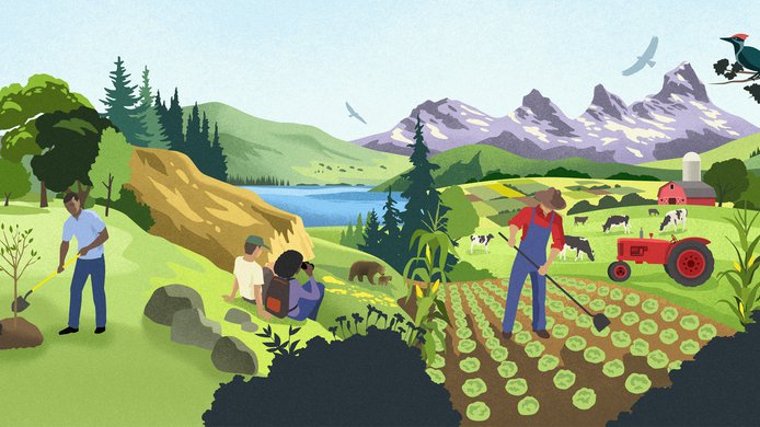 Land use illustration_Michael Crampton