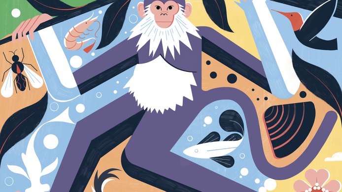 Michael Driver illustration