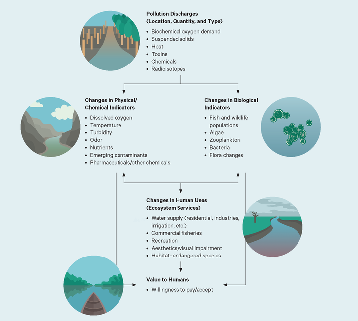 Schematic of the Components of the Social Cost of Water Pollution