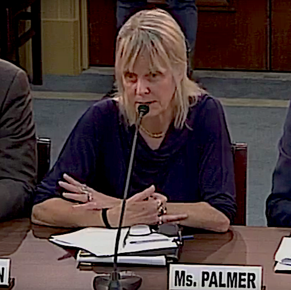 Palmer testimony_.png