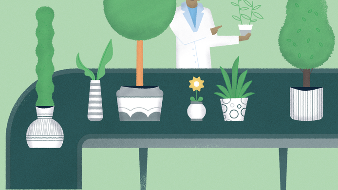 Plant inspections_hero image
