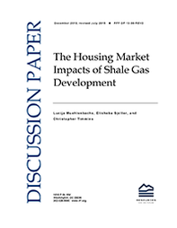 RFF-DP-13-39-REV2%20Cover.png