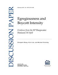 RFF-DP-15-06-cover.png