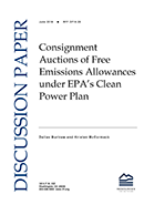 RFF-DP-16-20%20Cover.png