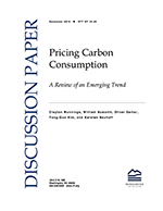 RFF-DP-16-49%20Cover.png
