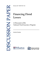 RFF-DP-17-03%20Cover.png