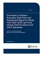 RFF-Rpt-MidtermCAFEComments%20Cover.png