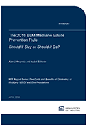 RFF-Rpt-Oil%26GasRegs-BLM%20methane%20rule%20cover.png