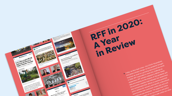 2020 Annual Report