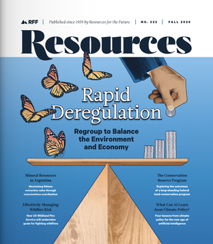 Cover of Resources magazine, issue 222, with an illustration of a balance on a fulcrum. The platform on the fulcrum is balanced, with butterflies on the left side and a stack of coins on the right side.