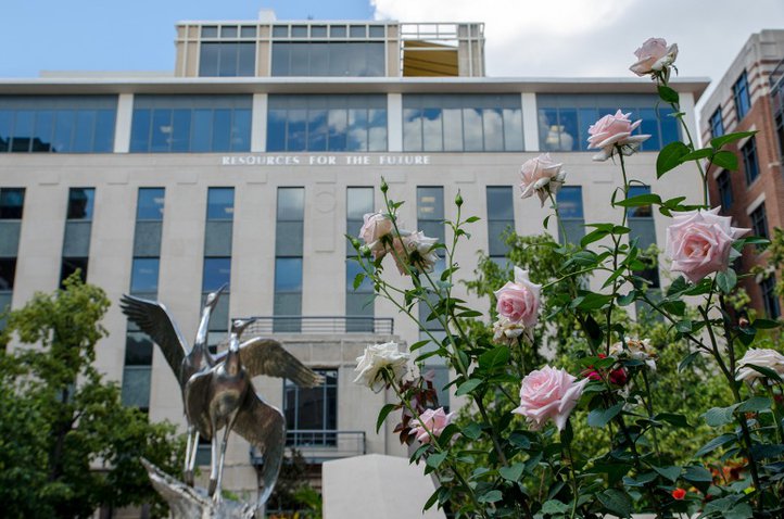 Rose Garden & Courtyard (6-6-16)-5_small.jpg