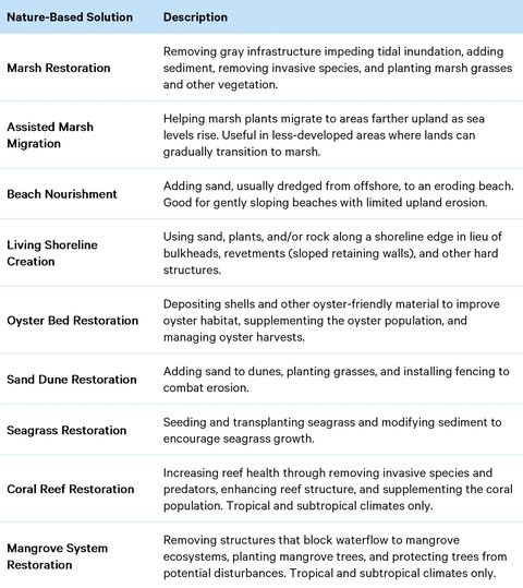 Nature-Based Solutions 101