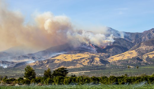 Thomas fire wibbenmeyer