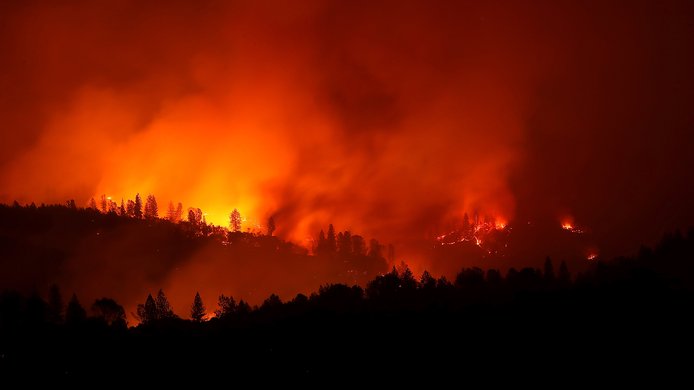 Wildfire orange.jpg