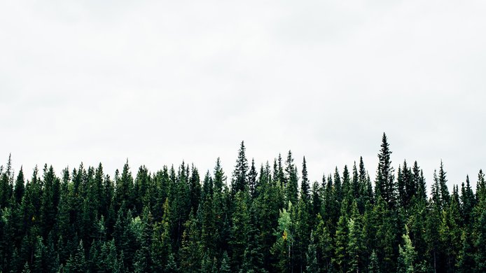 michael-benz--IZ2sgQKIhM-unsplash.jpg