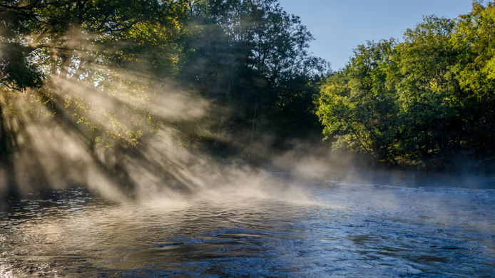 shutterstock_1720157995.jpg