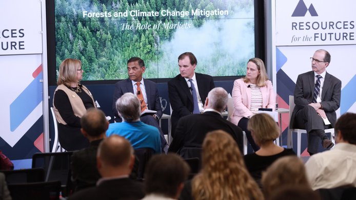 forest carbon panel 3.jpg