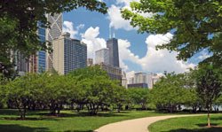 park_urban_path_city_trees_buildings.jpg