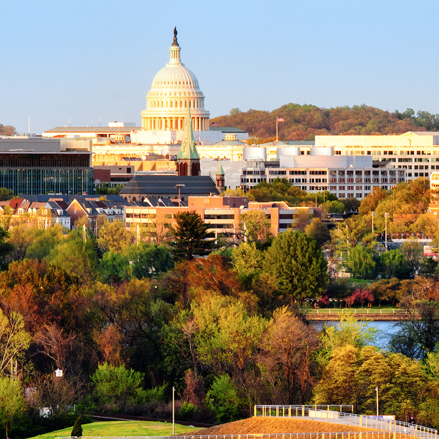 A view of the United States Capitol and surrounding buildings with fall trees in the foreground.