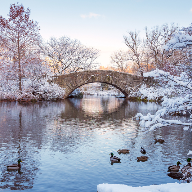 shutterstock_1198765090