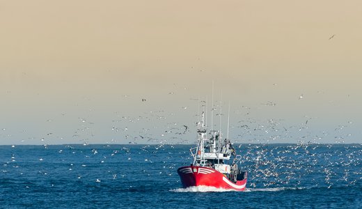 Fishing boat