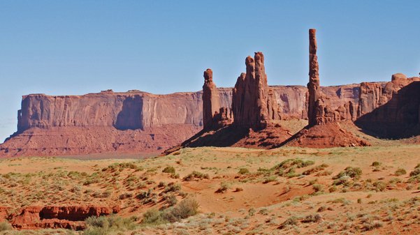 shutterstock_1297170472 (1).jpg