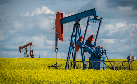 shutterstock_1449214988 (16x9)