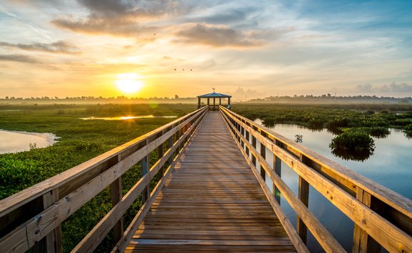 shutterstock_1471835996.jpg