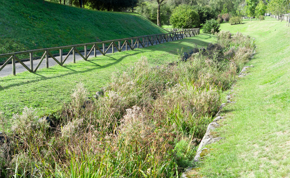 shutterstock_1527581909