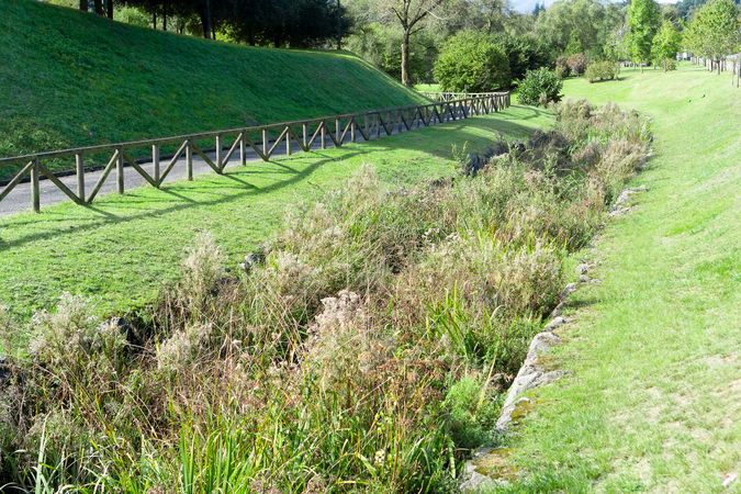 shutterstock_1527581909