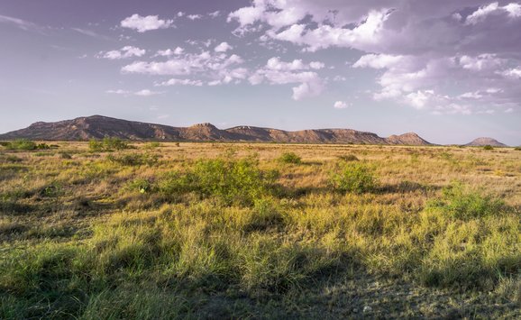 Texas prairie with mountains in the distance