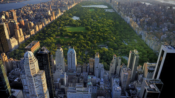Building a Carbon Trading System in New York City, with Danielle Spiegel-Feld - Vimarsana News