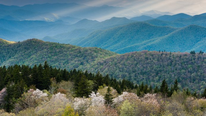 shutterstock_174003944.jpg
