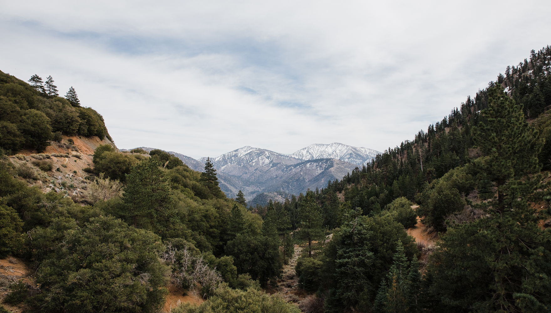 shutterstock_1930126094