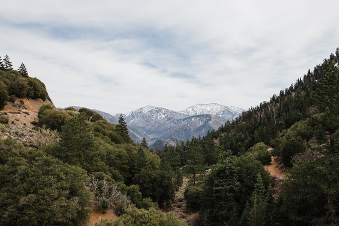 shutterstock_1930126094